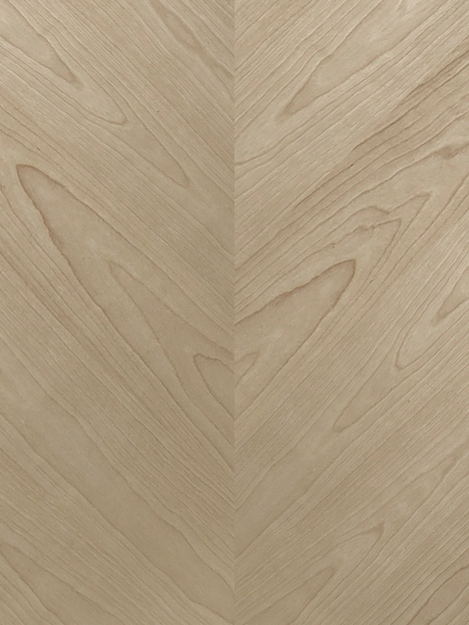 ホワイトバーチ